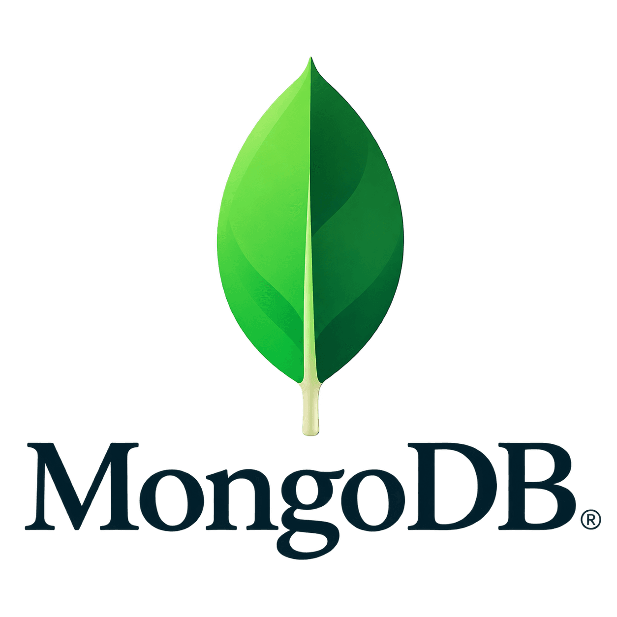 MongoDB & Redis